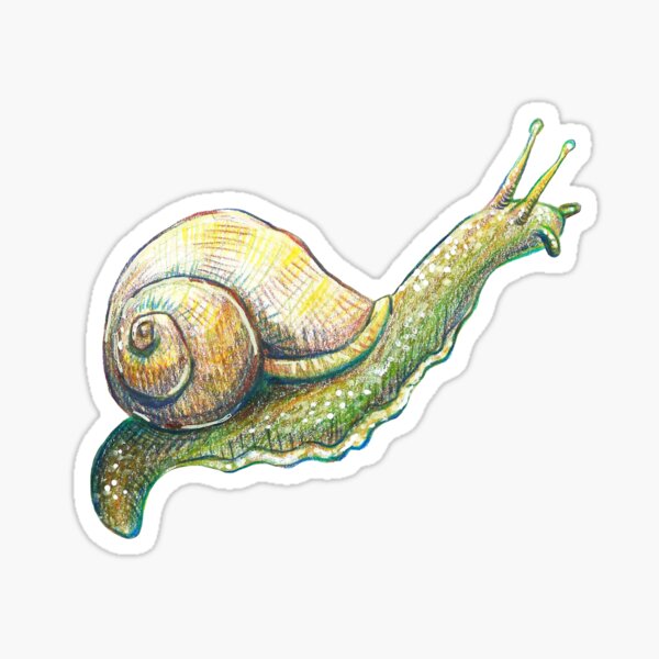 Item preview, Silly snail! designed and sold by Mina Arts Apparently.