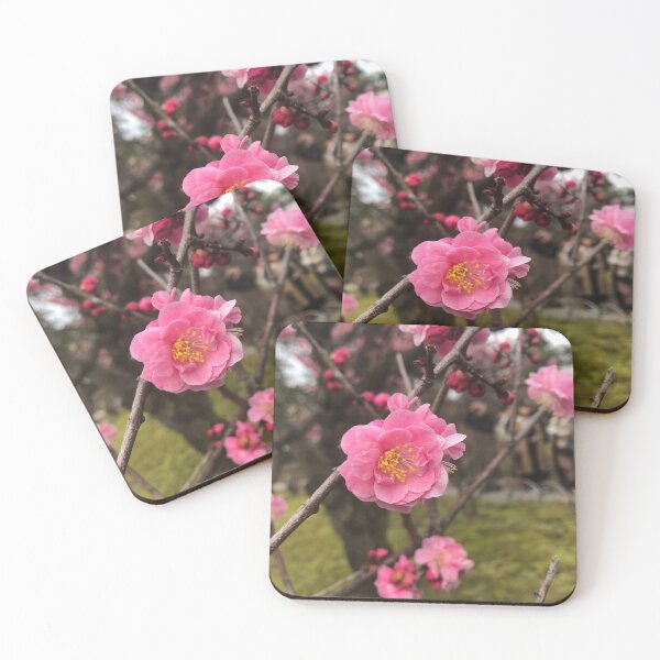 Item preview, Plum Blossom in the early Spring designed and sold by DJ GO.