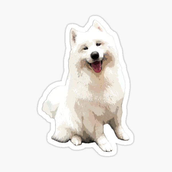 Sticker: Samoyed