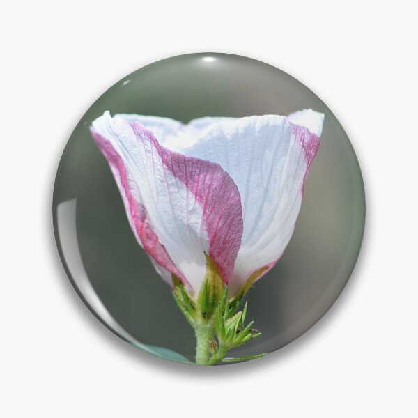 Item preview, Candy Stripe pink and white flower side view designed and sold by IPPhotography.