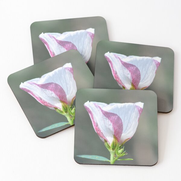 Item preview, Candy Stripe pink and white flower side view designed and sold by IPPhotography.