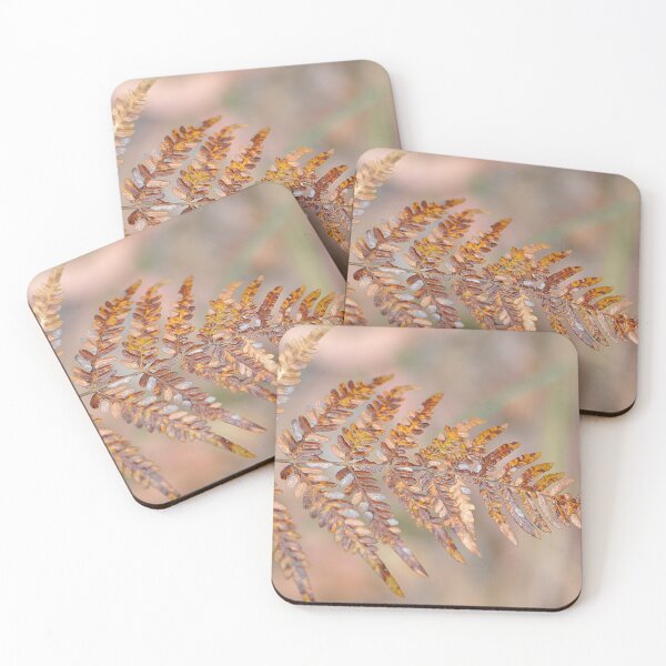 Item preview, Australian Tree Fern dried  designed and sold by IPPhotography.