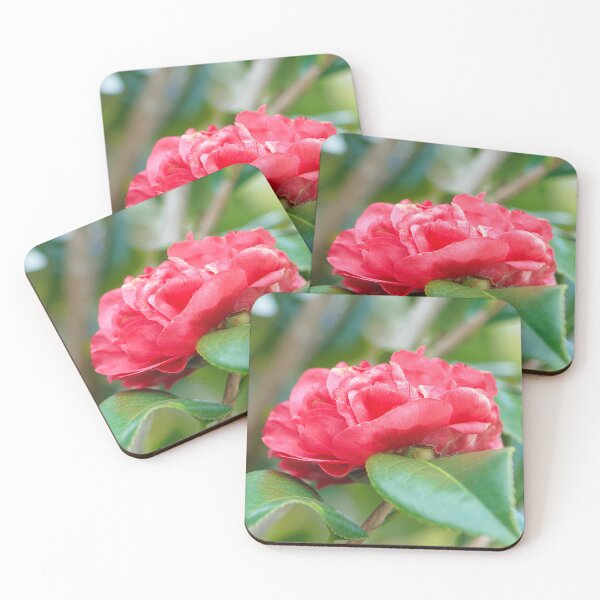 Item preview, Lovely Red Pink Japanese Camellia designed and sold by IPPhotography.