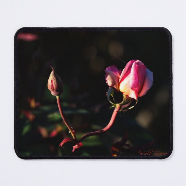 Item preview, Macros (22) designed and sold by Wolf Sverak Photography.