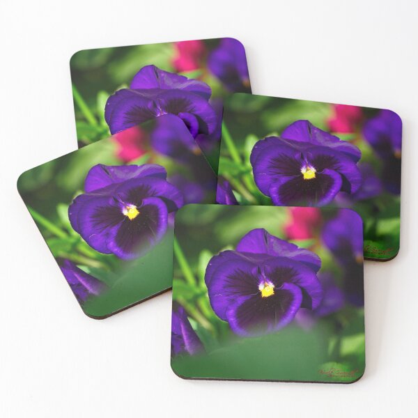 Item preview, Macros (17) designed and sold by Wolf Sverak Photography.