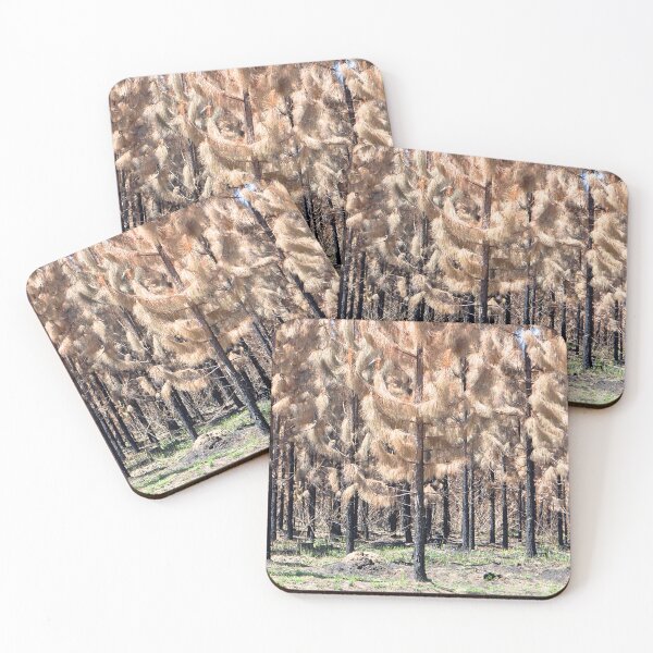 Item preview, Stunning brown burnt pine tree forest designed and sold by IPPhotography.