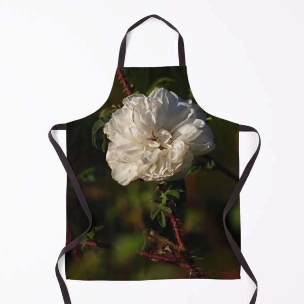 Item preview, Macros (14) designed and sold by Wolf Sverak Photography.