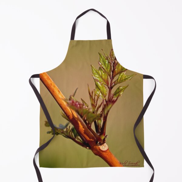 Item preview, Macros (12) designed and sold by Wolf Sverak Photography.