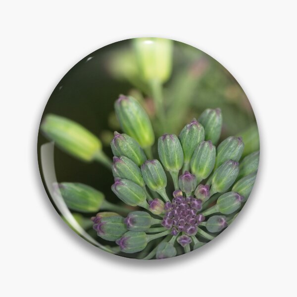 Item preview, Macros (9) designed and sold by Wolf Sverak Photography.