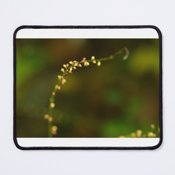 Item preview, Reaching Out designed and sold by fototaker Tony.