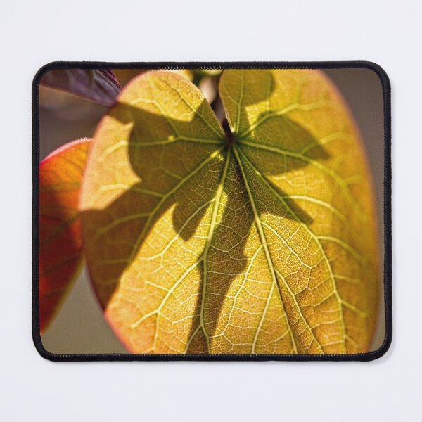 Item preview, Macros (8) designed and sold by Wolf Sverak Photography.