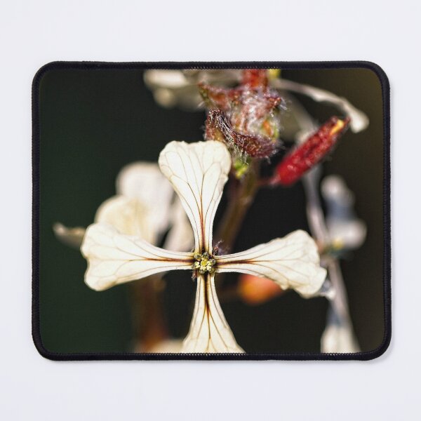 Item preview, Macros (7) designed and sold by Wolf Sverak Photography.