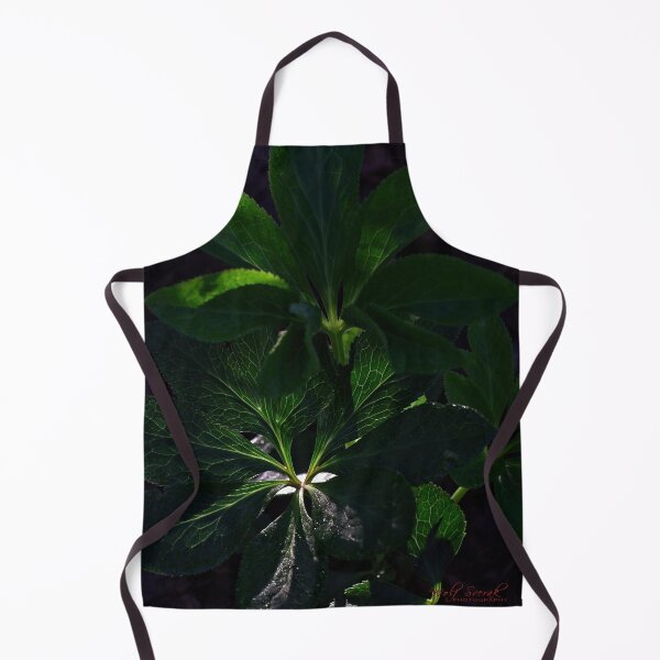 Item preview, Macros (6) designed and sold by Wolf Sverak Photography.