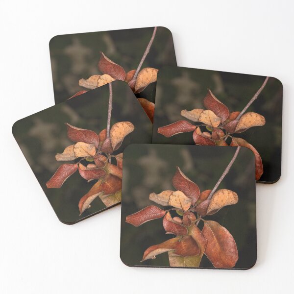 Item preview, Macros (2) designed and sold by Wolf Sverak Photography.