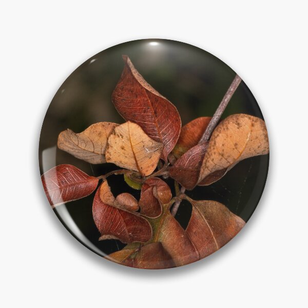 Item preview, Macros (2) designed and sold by Wolf Sverak Photography.