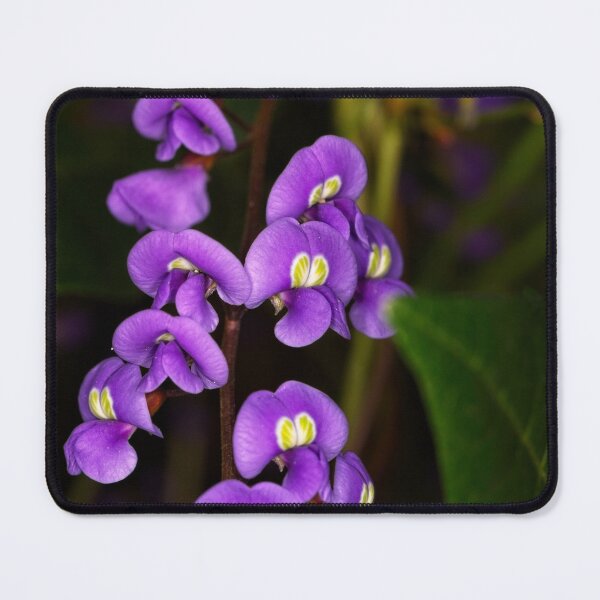 Item preview, Macros (1) designed and sold by Wolf Sverak Photography.