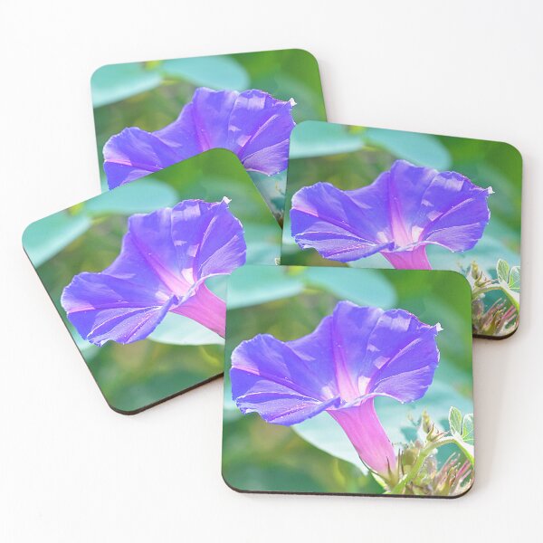 Item preview, Blue Morning Glory Purple Flower designed and sold by IPPhotography.