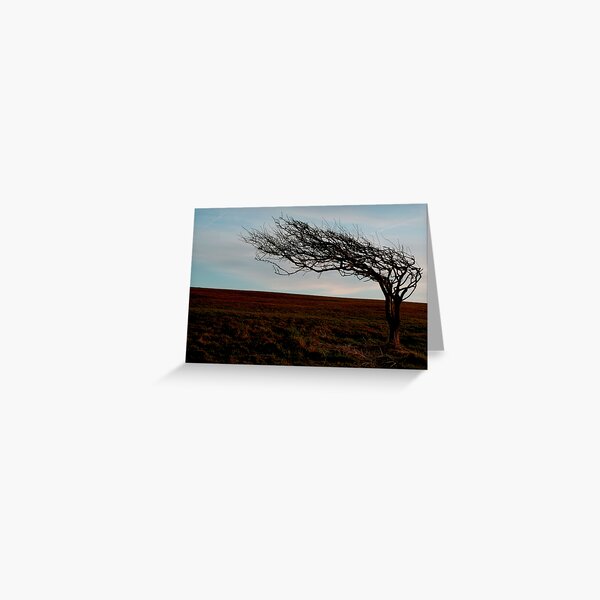 Reaching out Greeting Card