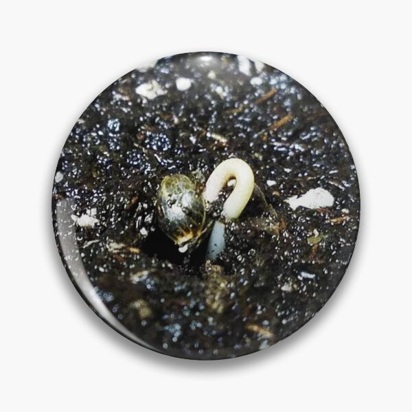 Item preview, Germination designed and sold by MindentPsyScout.