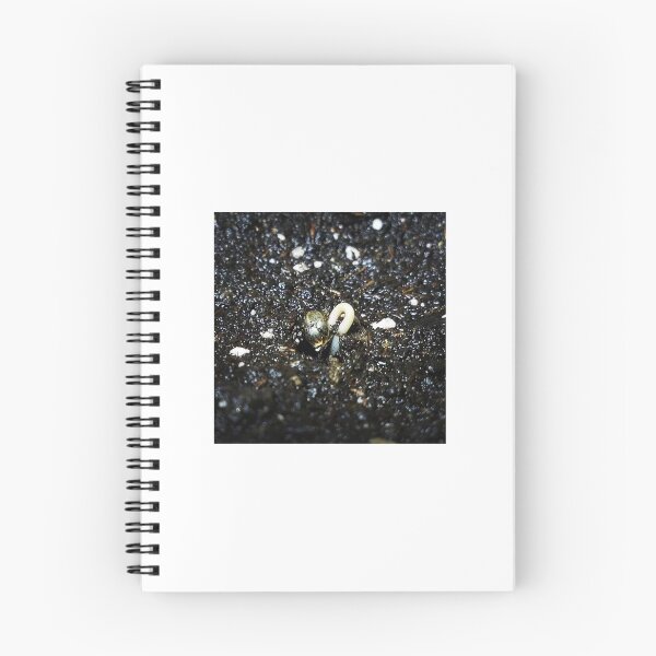 Item preview, Germination designed and sold by MindentPsyScout.