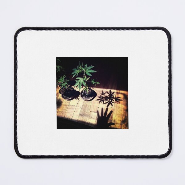 Item preview, Contact designed and sold by MindentPsyScout.