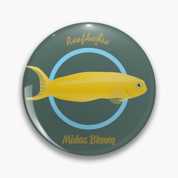 Item preview, Midas Blenny designed and sold by KaplanCrypto.