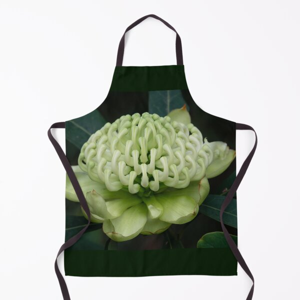 Aperçu de l'œuvre Fleur de cultivar White Waratah 'Wirrimbirra White'. créée et vendue par Connie Pinson.