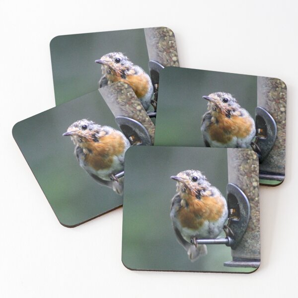 Item preview, Robin designed and sold by KathleenDawson.