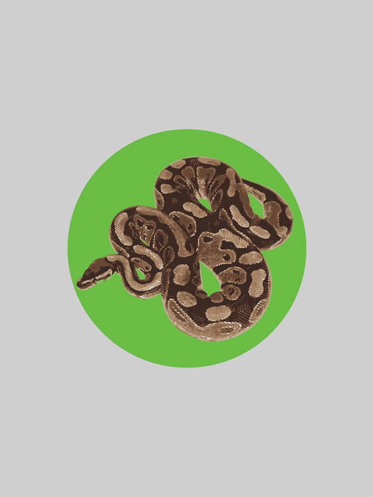 Thumbnail 4 of 4, iPhone Case, Ball Python designed and sold by Corner-Distro.