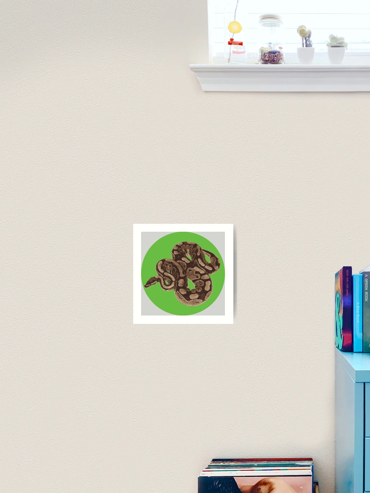 Thumbnail 2 von 3, Kunstdruck, Ball Python designt und verkauft von Corner-Distro.