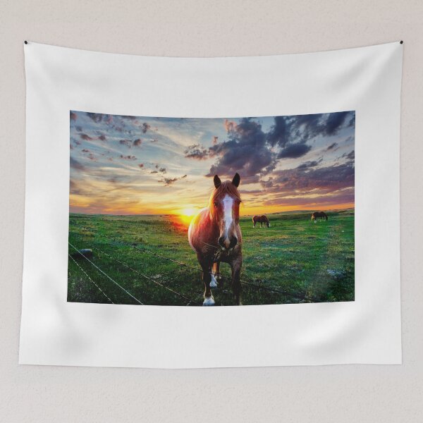 Aperçu de l'œuvre Chevaux au coucher du soleil dans les Prairies créée et vendue par colorfulbundles.