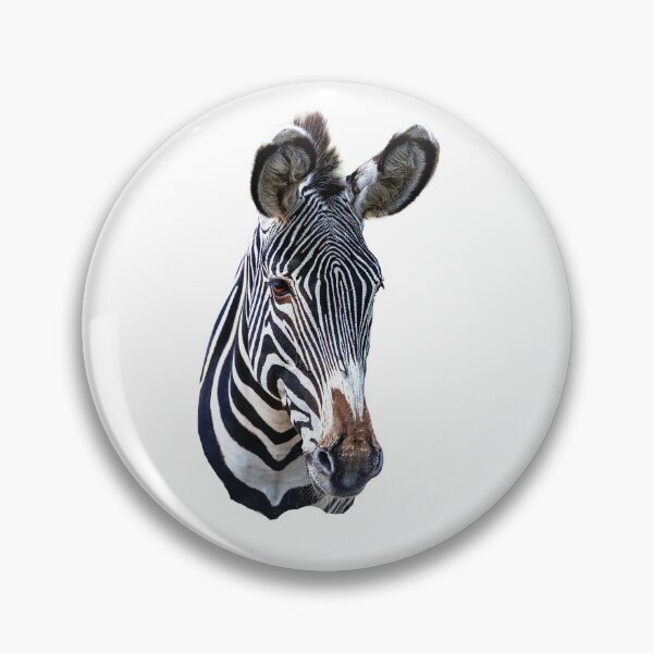 Item preview, Zebra Stripes designed and sold by Dalyndigital Photography.