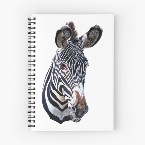 Item preview, Zebra Stripes designed and sold by Dalyndigital Photography.