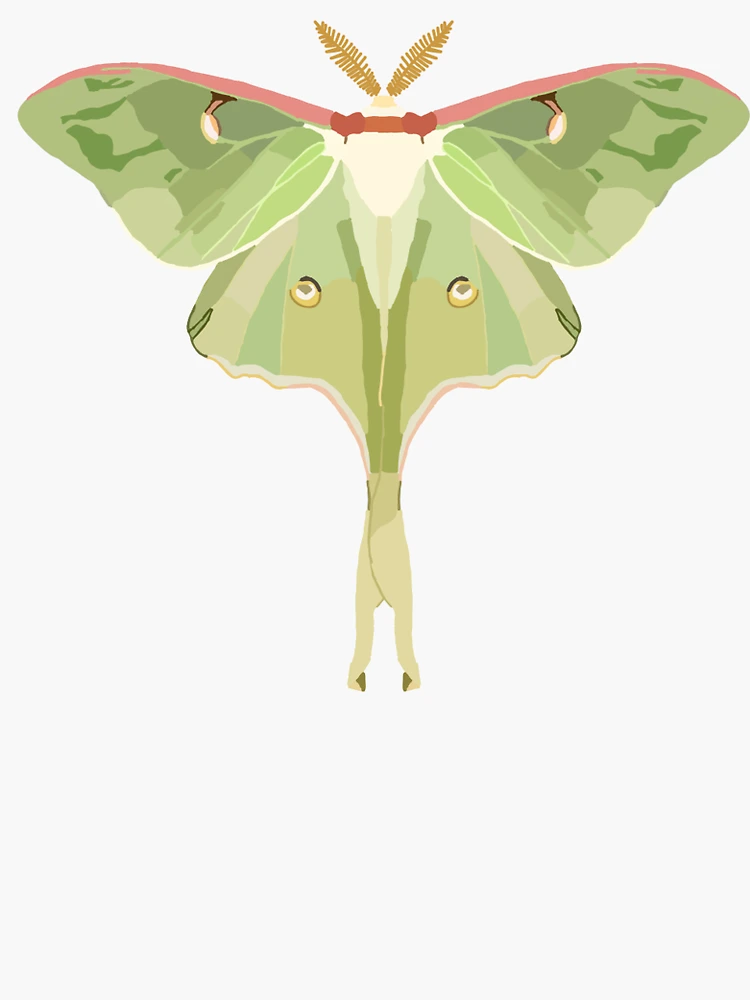 Moon moth Sticker for Sale by lazydogarts