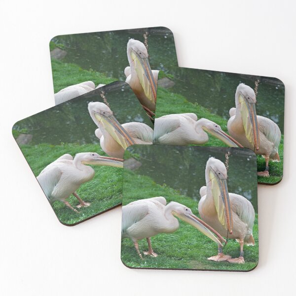 Item preview, Domestic Bliss (Eastern White Pelicans) designed and sold by Krys Bailey.