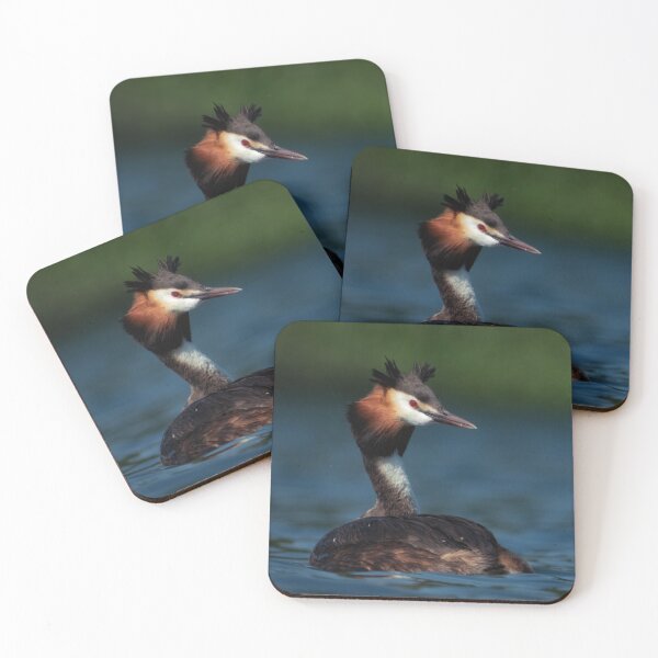 Item preview, Great crested grebe  designed and sold by WildEncounters.