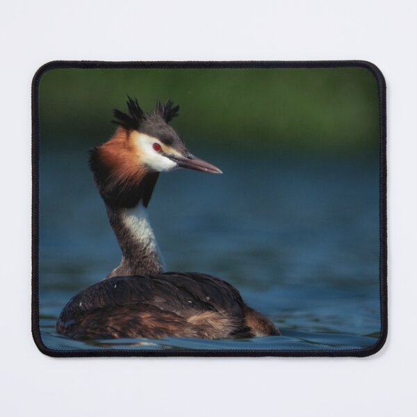 Item preview, Great crested grebe designed and sold by WildEncounters.