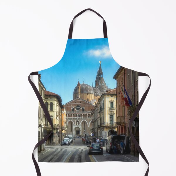 Item preview, Padua and the Basilica of St. Anthony - Italy designed and sold by Kathy Weaver.