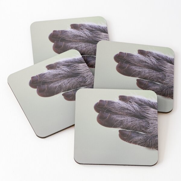 Item preview, Bonnet Macaque Monkey Hand with Copy Space designed and sold by VgBingi.