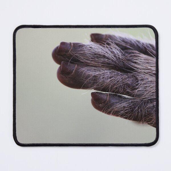 Item preview, Bonnet Macaque Monkey Hand with Copy Space designed and sold by VgBingi.