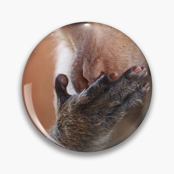 Item preview, Bonnet Macaque Monkey Licking Palm designed and sold by VgBingi.