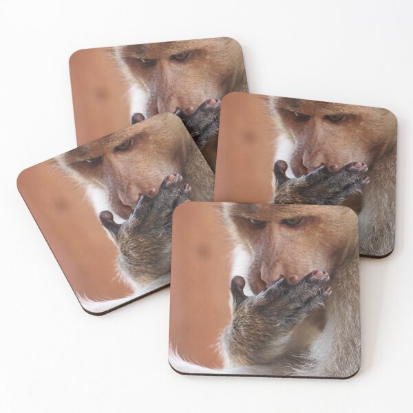 Item preview, Bonnet Macaque Monkey Licking Palm designed and sold by VgBingi.