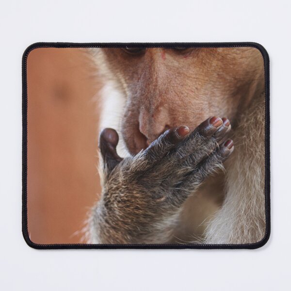 Item preview, Bonnet Macaque Monkey Licking Palm designed and sold by VgBingi.