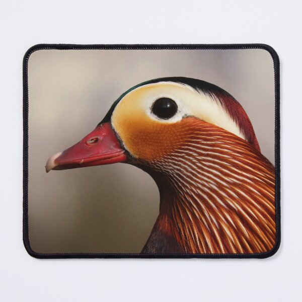Item preview, Fabulous mandarine duck designed and sold by WildEncounters.