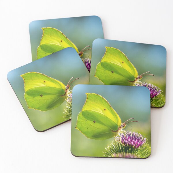 Item preview, Brimstone butterfly designed and sold by Eyes on Butterflies.