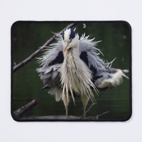 Item preview, Frustrated gray heron designed and sold by WildEncounters.