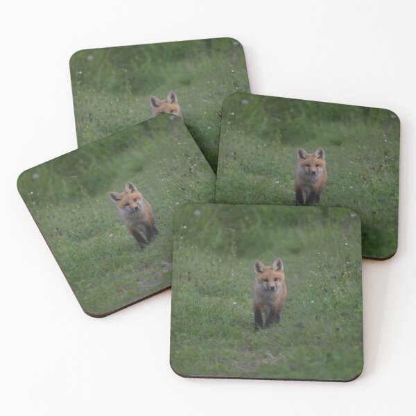 Item preview, A young fox in the spring designed and sold by Claude Laprise.