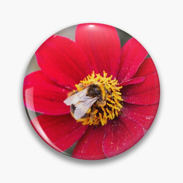 Item preview, Bee On A Red Dahlia designed and sold by Tanya C  Smith.