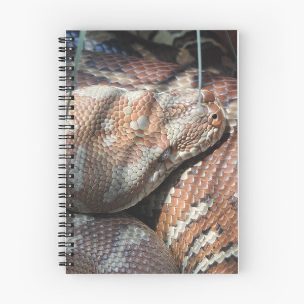 Item preview, Centralian Carpet Python designed and sold by kirstybush.