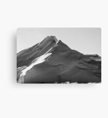 Iceberg Canvas Print